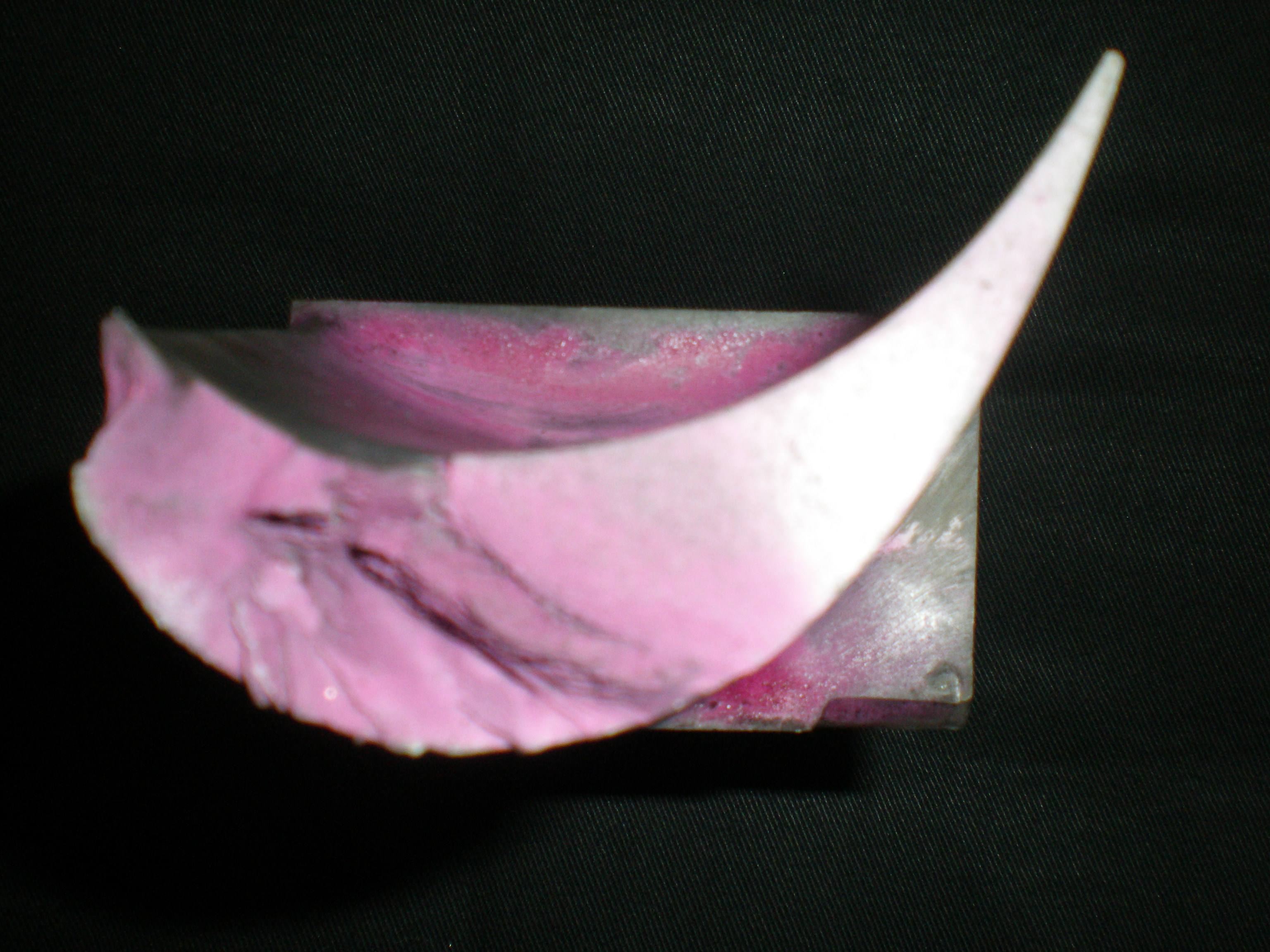 叶片专题 第 4 张