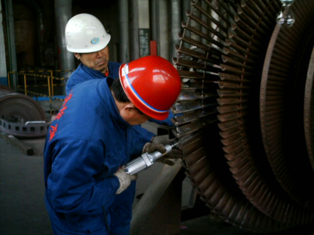 叶片专题 第 2 张