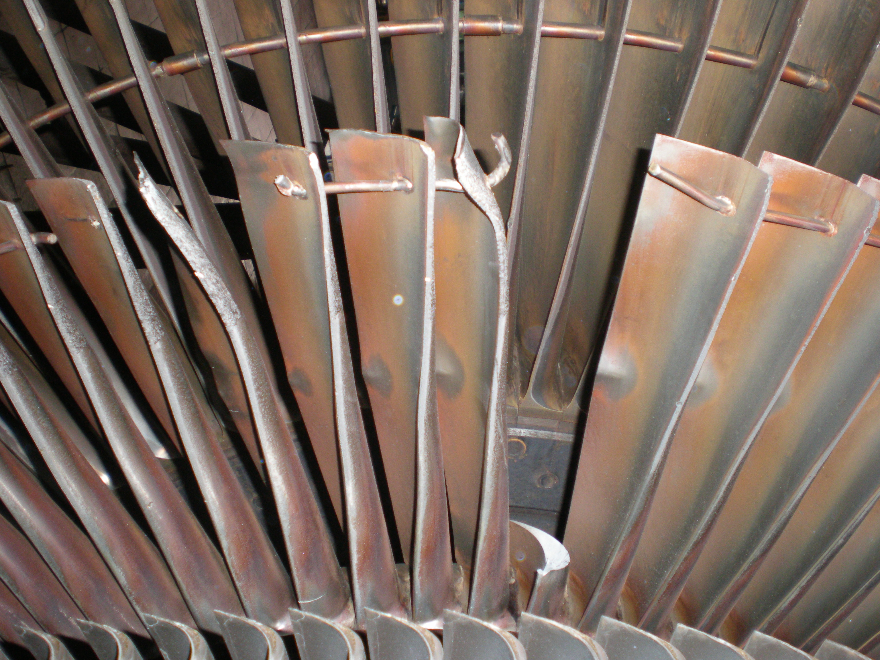 叶片专题 第 3 张